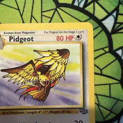 Pidgeot 24/64 Jungle Unlimited Rare - MP - Pokemon TCG - Image 5