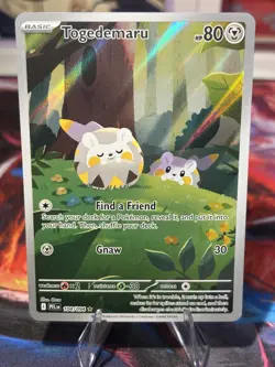 Pokemon 2025 Phantasmal Flames Togedemaru 104/094 Illustration Rare Near Mint - Image 1