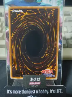 Wynn the Wind Charmer Yugioh DT10-JP007 Holo Yu-Gi-Oh Konami OCG JAPAN - Image 3