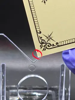 One Piece Kabag 8 The Master of the New World Nefertari D Vivi #OP-SSR-013 - Image 4