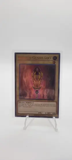 Yugioh Sunseed Genius Loci GFTP-EN014 Ultra Rare 1st Edition NM Fast Ship - Image 1