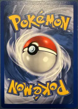 Poliwrath Shadowless Holo Rare Base Set 13/102 Pokemon Card - WOTC 1999 - Image 2