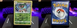 RILLABOOM RARE REVERSE HOLO HOLO 018/198 CHILLING REIGN POKEMON NM - Image 3