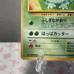 Pokemon Ivysaur Southern Island Non Holo (Japanese) - NEAR MINT - Image 5