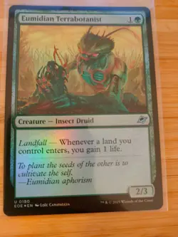 MTG Eumidian Terrabotanist (FOIL) 0180 Edge of Eternities M/NM Free UK P&P - Image 1