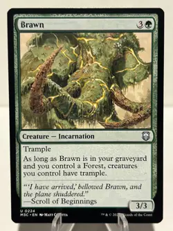 Brawn 224 U Commander: Modern Horizons 3 NM MTG - Image 1