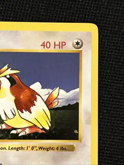 Pokemon Pidgey 57/102 (1st Edition) (Shadowless) (Never Played) *Near Mint*￼ - Image 4