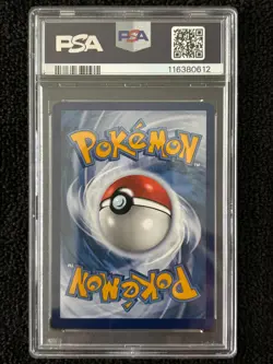 Lileep 145 PSA 10 Gem Mint Stellar Crown Pokemon - Image 2