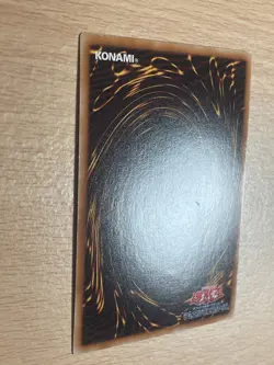 Dark Magician Girl WJMP-JP018 YuGiOh Ultra rare Japanese NM Yu-Gi-Oh! - Image 4