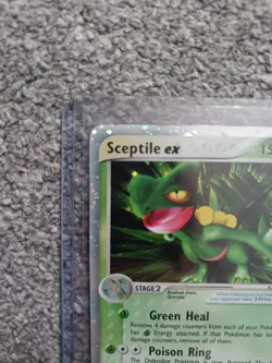 Pokemon TCG Sceptile EX 93/95 Team Magma vs Team Aqua Holo MP - Image 3