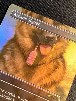 Arcane Signet Foil R 2464 Fallout Secret Lair SLD MTG NM+ - Image 4