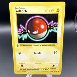 Pokemon Voltorb 1st Edition Shadowless Base Set 67/102 Vintage WOTC - Image 1