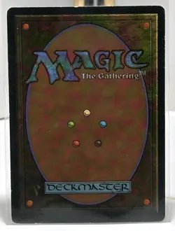 LIMITED EDITION Legends Vintage MtG Lady Orca - Image 2