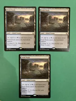 3X MTG Fetid Pools Amonkhet 243/269 Regular Rare Magic The Gathering - Image 1