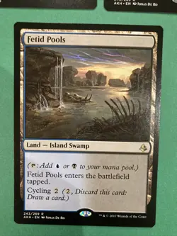 3X MTG Fetid Pools Amonkhet 243/269 Regular Rare Magic The Gathering - Image 4