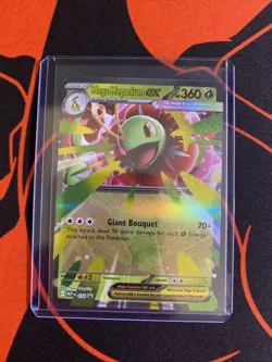 Mega Meganium ex 034 PROMO BLACK STAR HOLO Ascended Heroes Pokemon English Foil - Image 3