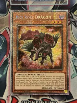Yugioh! Red Rose Dragon Starlight Rare Near Mint 1st Edition MP25-EN037 - Image 1