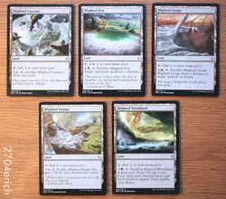 Set of 5 Blighted Lands - BFZ Zendikar *Unplayed NM* (MTG Woodland, Fen) - Image 1