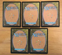 Set of 5 Throne of Eldraine Utility Lands *NM* (Magic MTG) Mystic Sanctuary - Image 2
