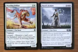 Set of 10 Pauper Legal Cats *NM* English Magic the Gathering MTG Savannah Lions - Image 2
