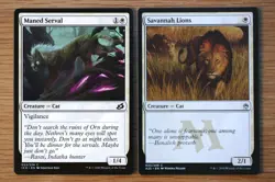 Set of 10 Pauper Legal Cats *NM* English Magic the Gathering MTG Savannah Lions - Image 5