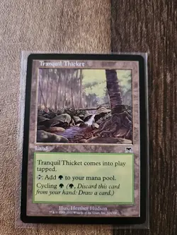 Tranquil Thicket - Onslaught - MTG Magic - Common - Land - Image 1
