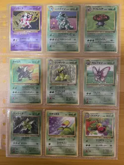 Pokemon Card COMPLETE Jungle Master Set 48/48 1999 Japanese - Image 3