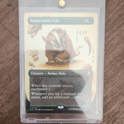 Magic: The Gathering TLA Badgermole Cub & Redirect Lightning Card Lot - 2 Cards - Image 1