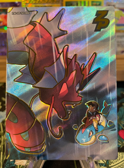 PM-ZP NO.002 Shiny Gyarados SET CHASE! Non-TCG Pokemon Eif Origin 3.0 - Image 1