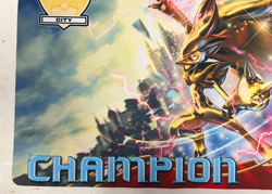 Pokemon Official Zoroark BREAK City Championships 2015 CHAMPION Playmat!! - Image 5