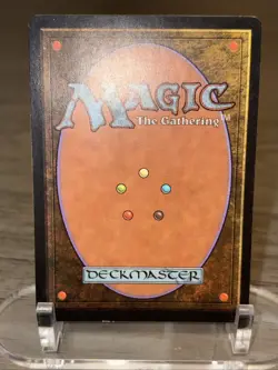 1x Time Warp Tempest MTG Magic the Gathering LP (C) - Image 3