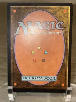 1x Time Warp Tempest MTG Magic the Gathering LP (C) - Image 4