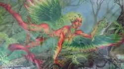 Mtg Playmat Set Of 2 No.MP268 - Image 2