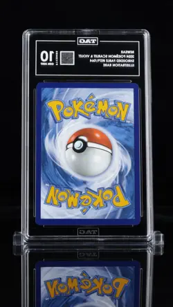 2024 Pokemon Bewear 079/064 TAG 10 Gem Mint #1 Ranked💎 Pop 18 Shrouded Fable IR - Image 2