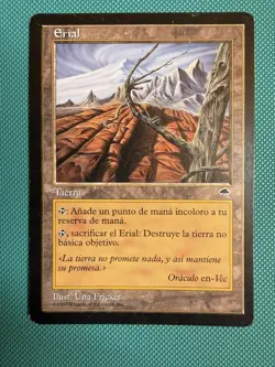 MTG Tempest — Wasteland — Spanish — EX - Image 1
