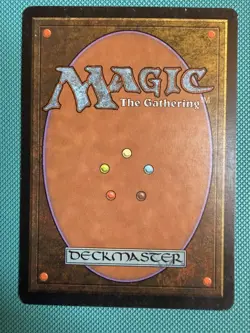 MTG Tempest — Wasteland — Spanish — EX - Image 2