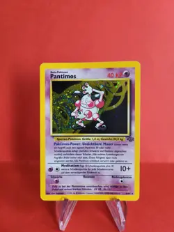 Pokemon Karte/card - Mr. Mime Pantimos 6/64 - Jungle Holo - Exc-Near Mint - Image 1
