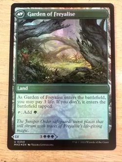 Disciple of Freyalise #250 (Foil) (NM) Modern Horizons 3 MH3 Magic MTG - Image 2