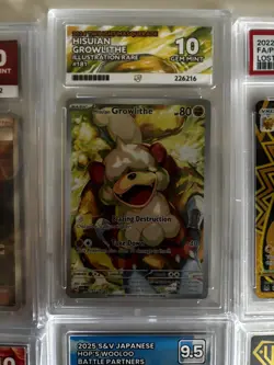 Pokemon Graded Card Slab (PSA, ACE…) Mystery graded slab - Image 3
