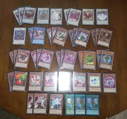 Yugioh Black Rose Deck Of 64 Cards W/ Sleeves! Ruddy Rose, Moonlight, Rox, Etc. - Image 1