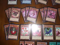 Yugioh Black Rose Deck Of 64 Cards W/ Sleeves! Ruddy Rose, Moonlight, Rox, Etc. - Image 5