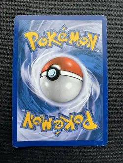 Entei HGSS20 - Pokemon Shiny Black Star Promo - Holo - MP - Image 4