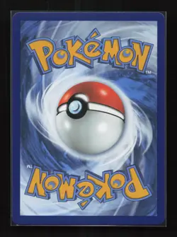 Raikou 050/185 Amazing Rare Vivid Voltage Pokemon Near Mint - Image 2