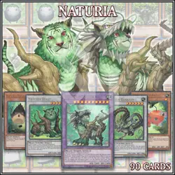 NATURIA DECK 90 | Exterio Barkion Cherries Beast Bamboo Shoot Tulip YuGiOh🔥 - Image 3