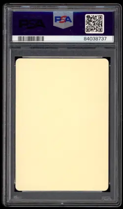 2020 PSA 8 NM-Mint Pokemon Let's Have Fun! Spring, Pokeka Sticker Pikachu - Image 2