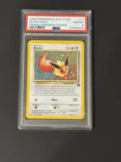 2000 Pokemon Black Star Eevee Holo Promo Pokemon League #11 PSA 8 NM-MT - Image 1