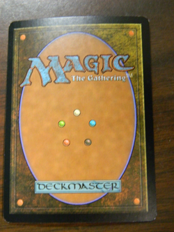 MTG Time Shifted FOIL Soul Collector Excellent - NM Cond - Image 2