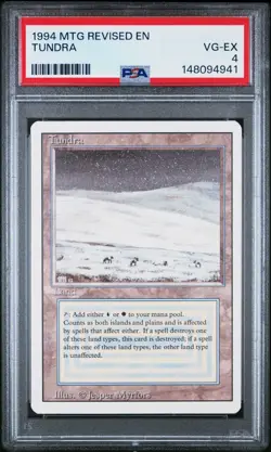 Revised Edition Magic: The Gathering Tundra - Image 1