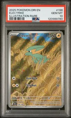 2025 Pokemon Destined Rivals Electrike Illustration Rare #196 PSA 10 - Image 1