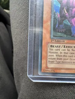 Behemoth the King of All Animals FET-EN014 Flaming Eternity 1st Edition - Image 2
